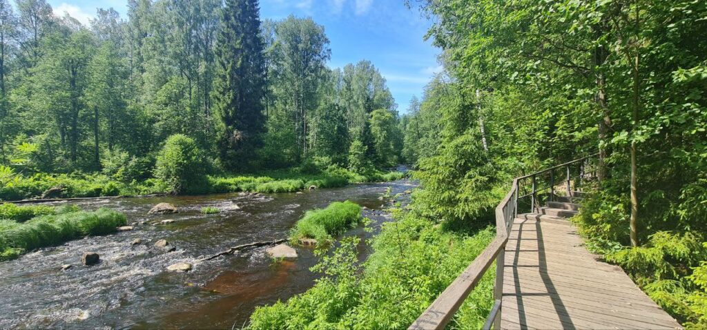 Фото с тропы Линдуловской рощи